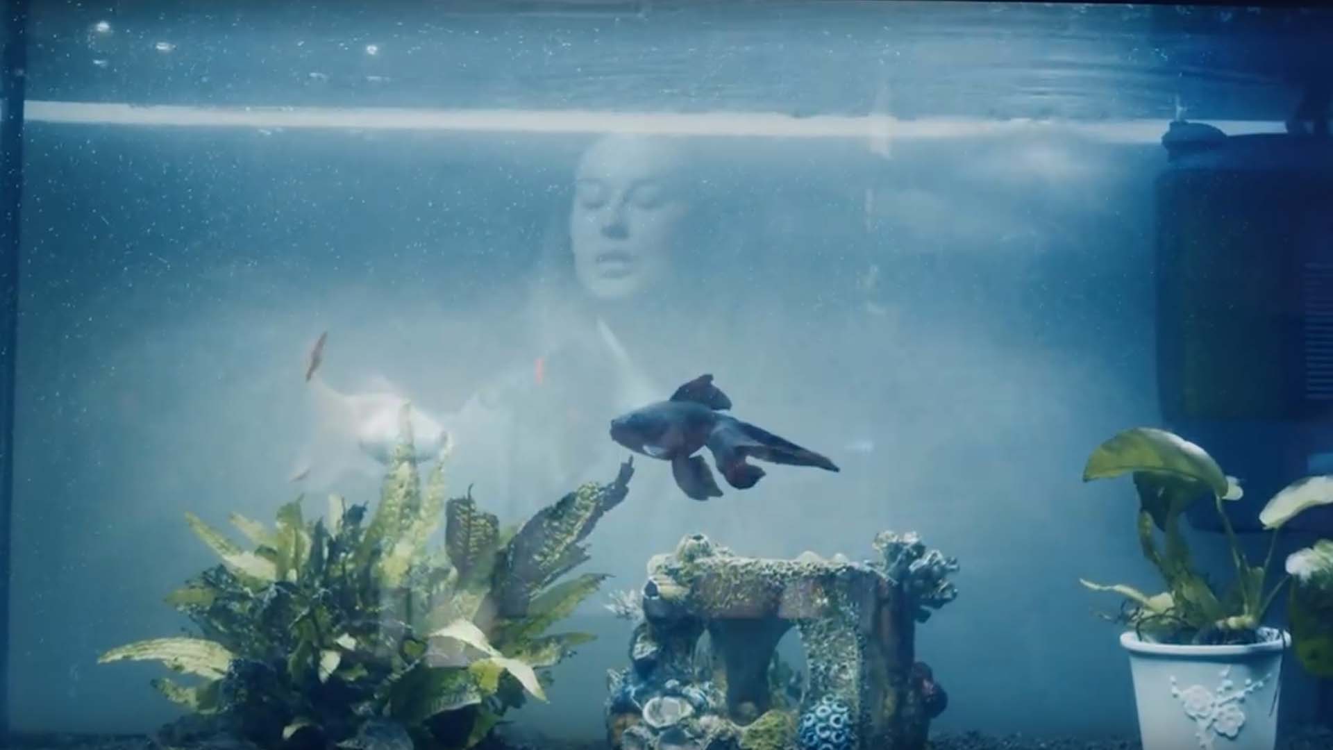 Thumbnail image for this video