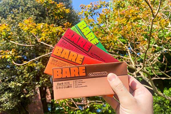 Sydney Davis - Final year project