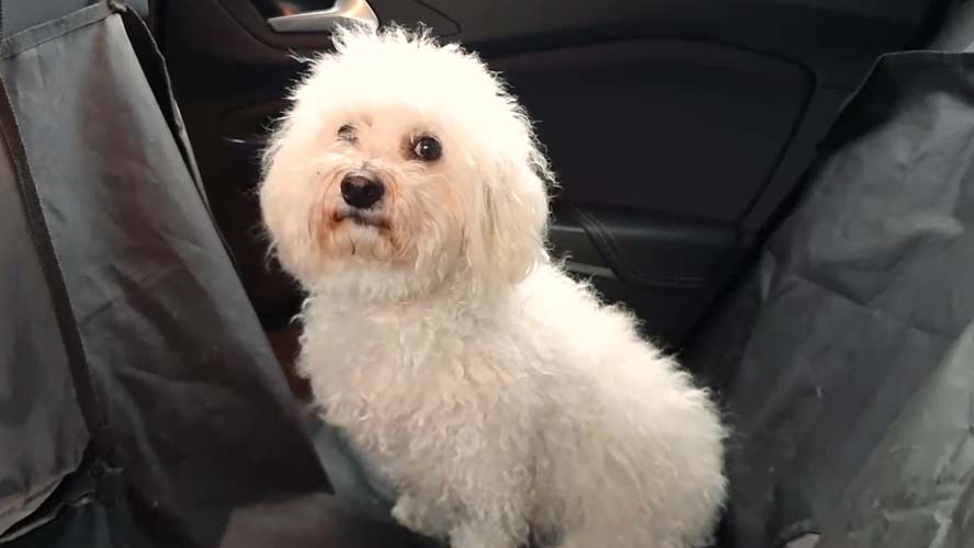 Mobile video student work