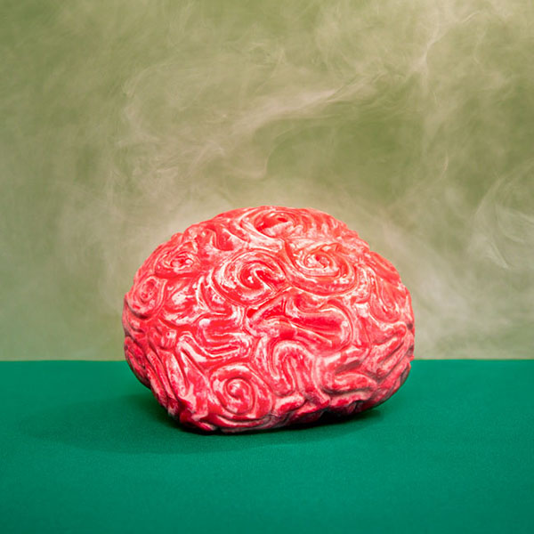 A photo by Amelia Barling