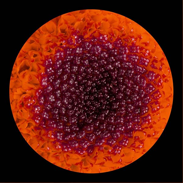 A photo by Lilly McLeod