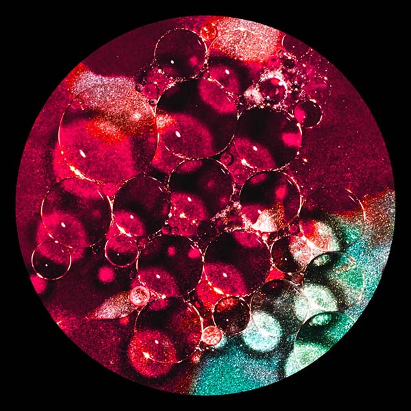 A photo by Lilly McLeod