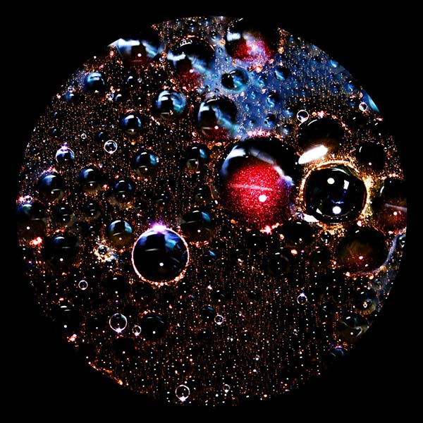 A photo by Lilly McLeod