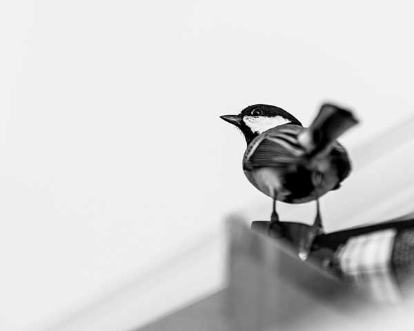 A photo by Louise Morley